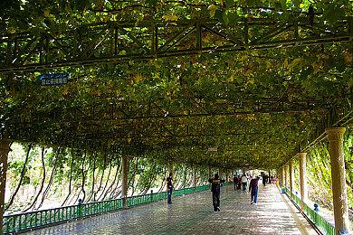 《碧蓝幻想 Relink》主題曲预告 2月1日发售